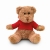 Knuffel Teddybeer met sweatshirt rood