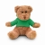 Knuffel Teddybeer met sweatshirt groen