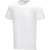 Balfour biologisch heren t-shirt met korte mouwen wit