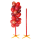 Ballonnen boom rood